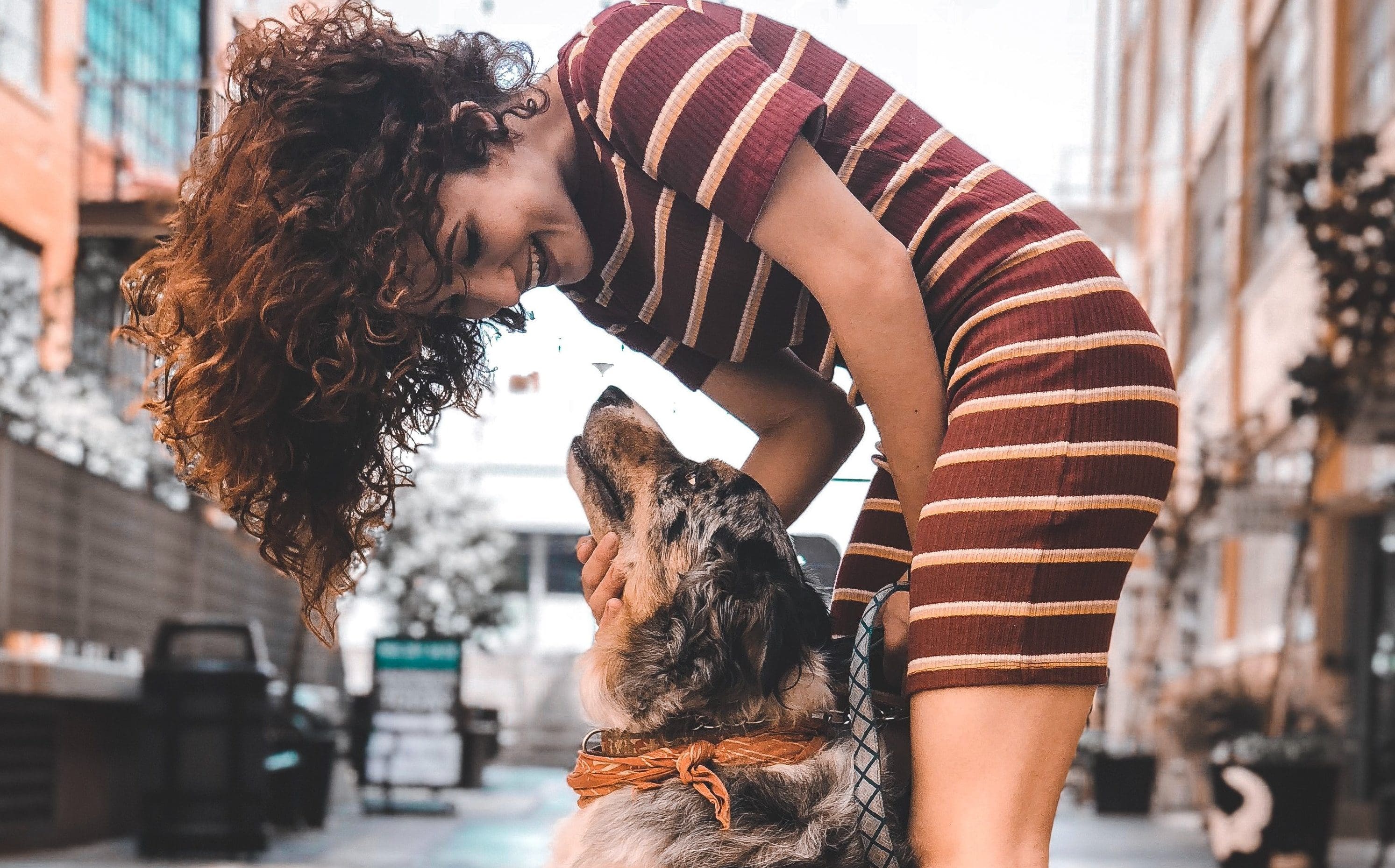 What Is the Difference Between a “Service Animal” and an “Emotional Support Animal”?